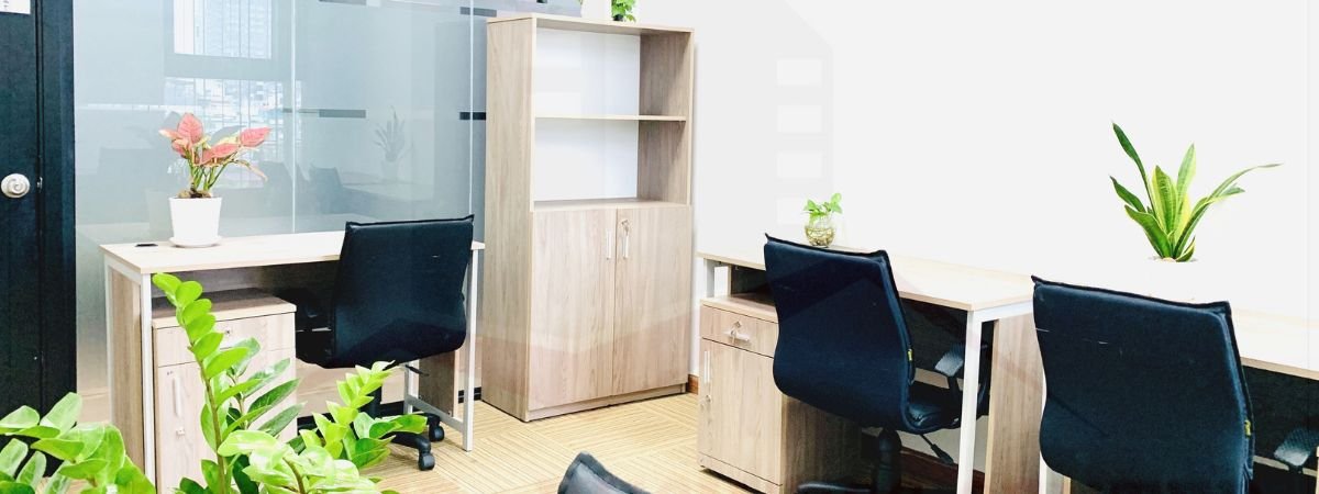 About the company